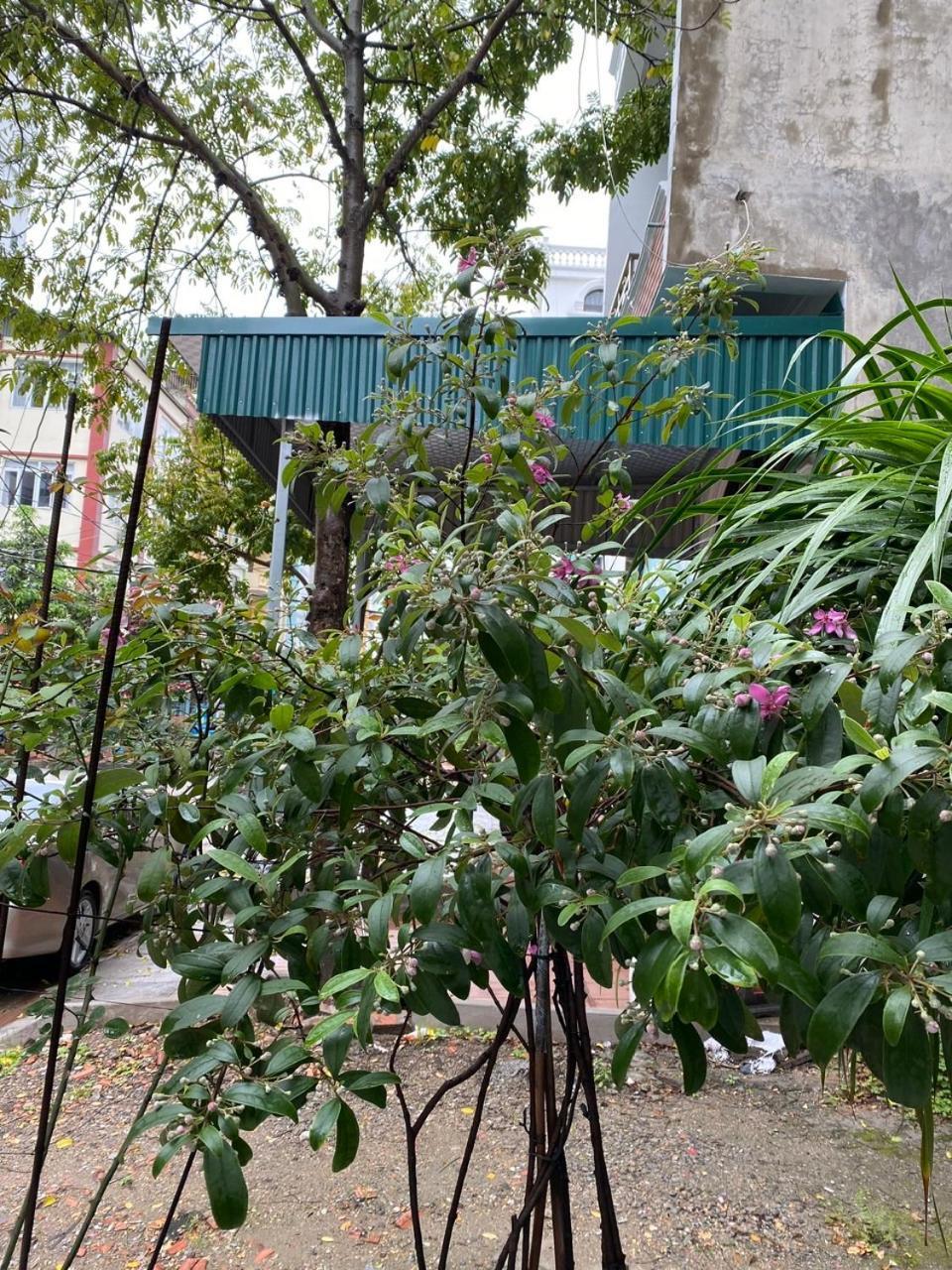 Nha Nghi Anh Dung Bed & Breakfast Ha Long Exterior photo